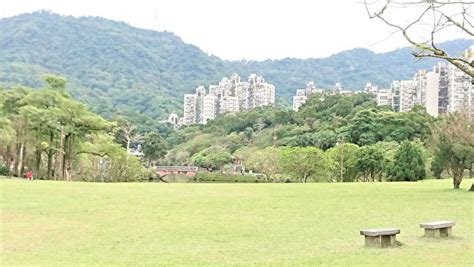 南港公園前身|台北南港公園有氣,石,木等地穴能量強大區域!比世界知名的美國能。